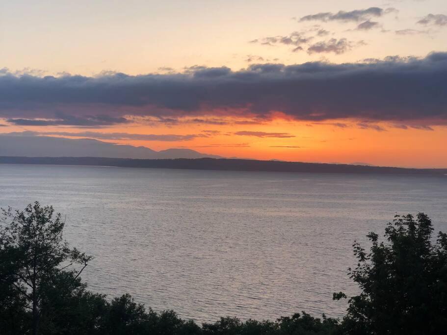 1-Bedroom Seaview Guesthouse On Seattle Luxury Estate With Views Of Olympic Mountains Экстерьер фото