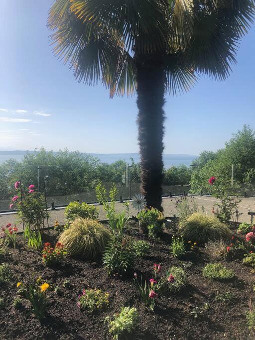 1-Bedroom Seaview Guesthouse On Seattle Luxury Estate With Views Of Olympic Mountains Экстерьер фото