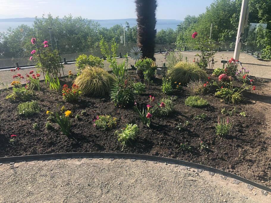 1-Bedroom Seaview Guesthouse On Seattle Luxury Estate With Views Of Olympic Mountains Экстерьер фото