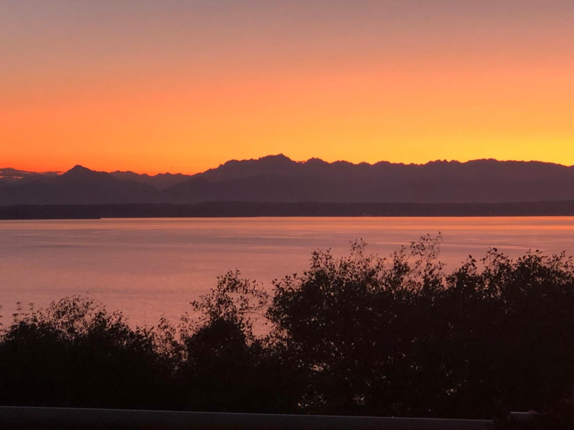 1-Bedroom Seaview Guesthouse On Seattle Luxury Estate With Views Of Olympic Mountains Экстерьер фото